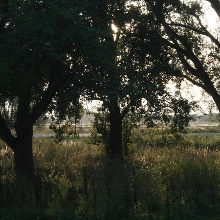 Landhaus An Der Wiek 坡瑟利特兹 外观 照片