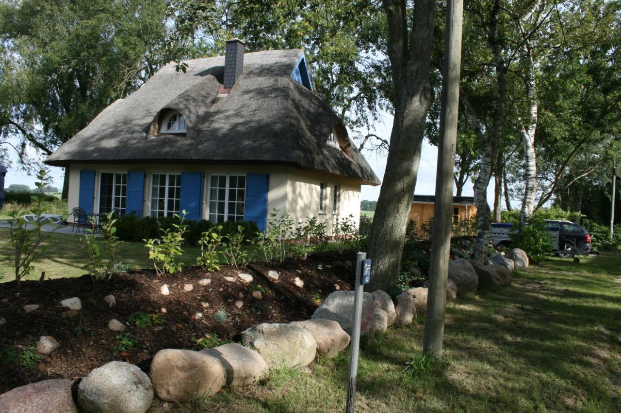 Landhaus An Der Wiek 坡瑟利特兹 外观 照片