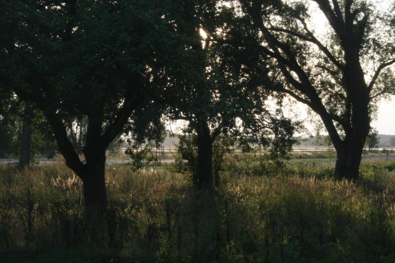 Landhaus An Der Wiek 坡瑟利特兹 外观 照片